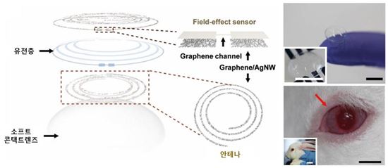 ▲스마트 콘텐츠렌즈로 혈당과 안압을 측정할 수 있다.[사진제공=유니스트]