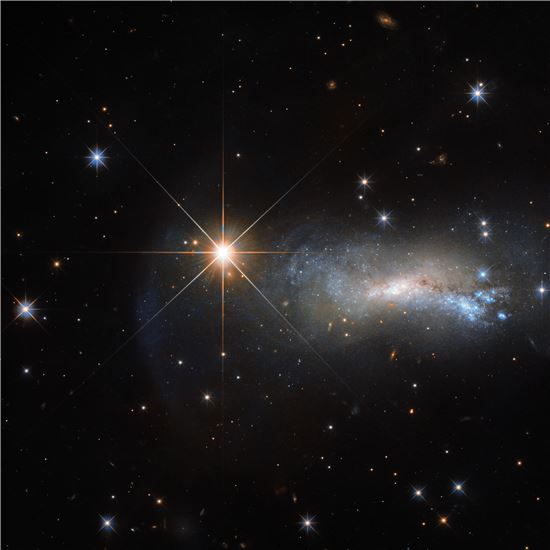 ▲전경 항성은 정작 연구하려는 은하의 희미한 빛을 오염시킨다.[사진제공=NASA] 