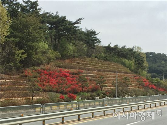 곡성군, 생활공간을 아름다운 숲으로 가꾸다