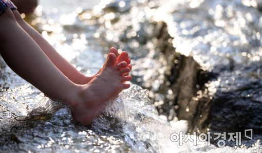 [포토]'시원한 청계천에서'