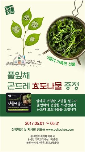 풀잎채, '곤드레 효도나물 증정' 이벤트 진행