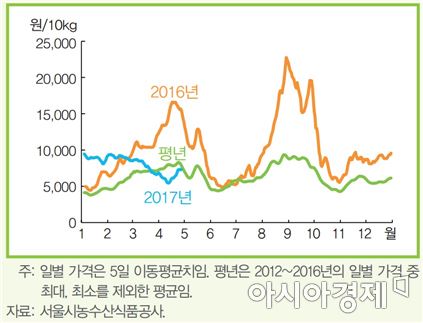 "봄채소가 왔어요"…배추·양파 등 가격 지난달보다 꺾일 전망