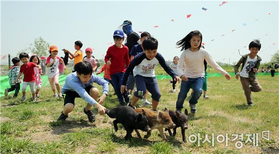함평나비축제, 가축몰이체험 인기
