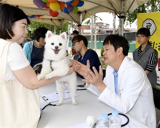 서울동화축제 연계 유기동물과 만남