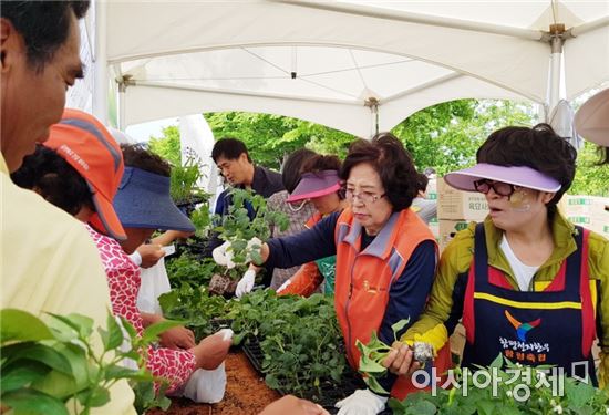 사)한국육묘산업연합회 호남지회,함평나비축제서 채소모종 무료 보급