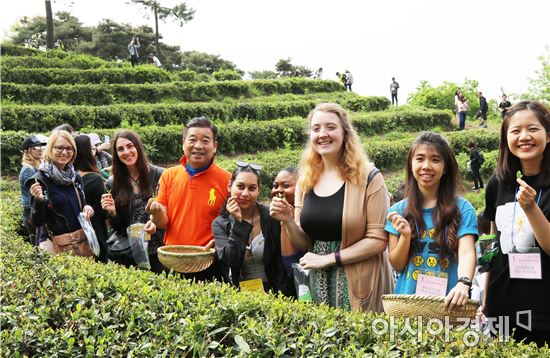 보성다향대축제장에 ‘외국인 팸투어단’방문