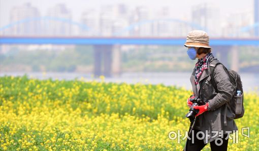 [포토]아쉬운 봄나들이 