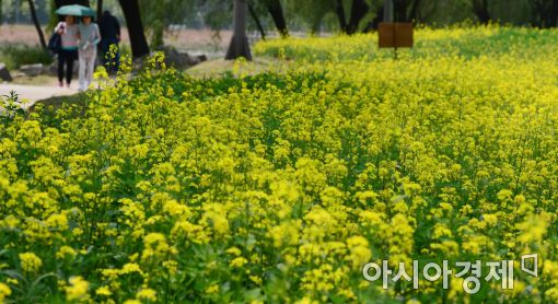 [포토]눈부신 봄