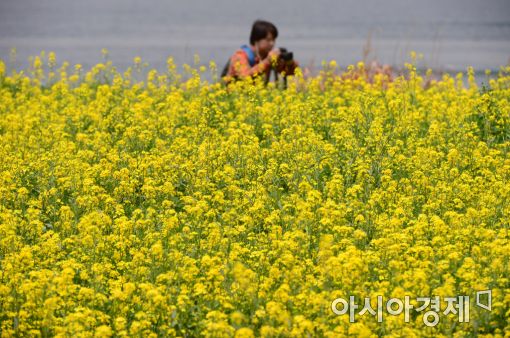 [포토]꽃밭에서