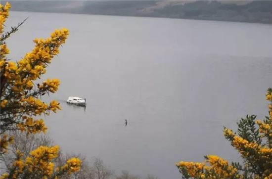 사라진 줄 알았던 네스호 괴물, 또 나타나?