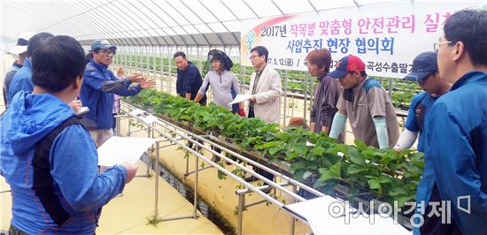 곡성군, 딸기 재배농가 안전관리 실천 현장 협의회 개최