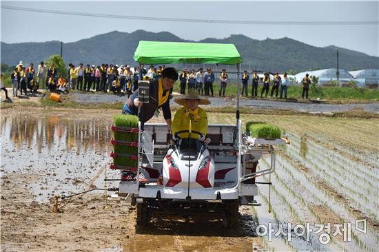 장성군 “벼 이앙부터 제초까지 한번에” 새 기술 시연