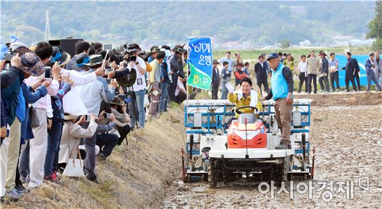 농협, 벼 직파(무논점파) 파종 및 동계작물 수확 시연