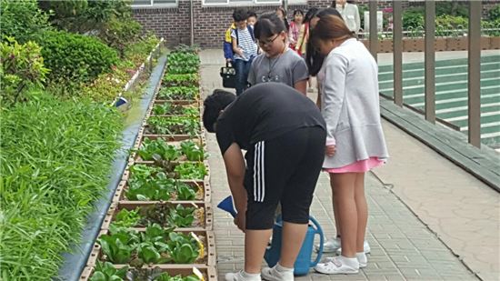 학교텃밭에서 생(生)생(生)하게 놀자