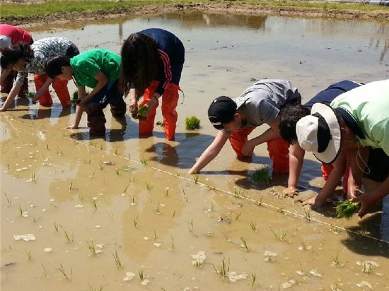 도시 논· 환경 동시 살린다 
