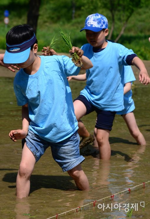 [포토]'모내기 하러 가요'