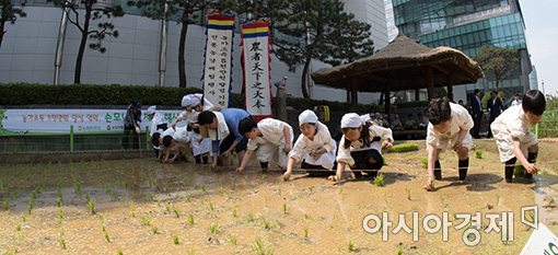 [포토]농협, 도시 학생 모내기 체험