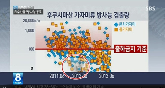 2013년 8월20일 <8뉴스>에 등장한 고 노무현 전 대통령 비하 사진/ 사진=SBS 캡처