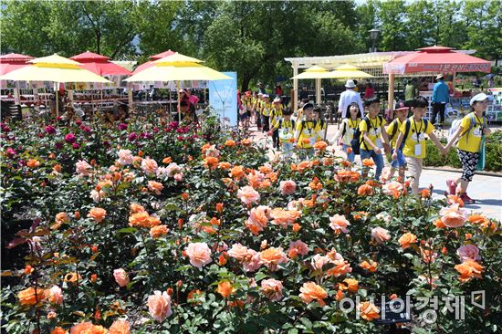 [포토]곡성 명품장미향기에  빠진 관광객들