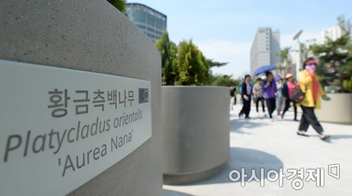 [포토]다양한 나무 식재된 서울로 7017