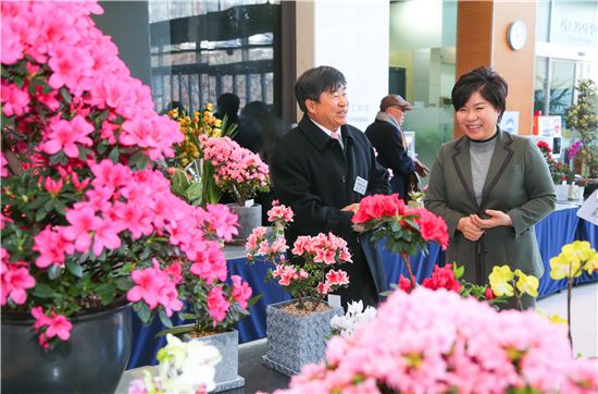 서초구, 미세먼지 공기정화식물 직거래장터 열어 