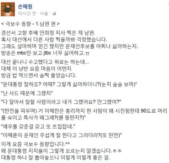 손혜원 더불어민주당 의원. 사진=손혜원 페이스북 캡쳐