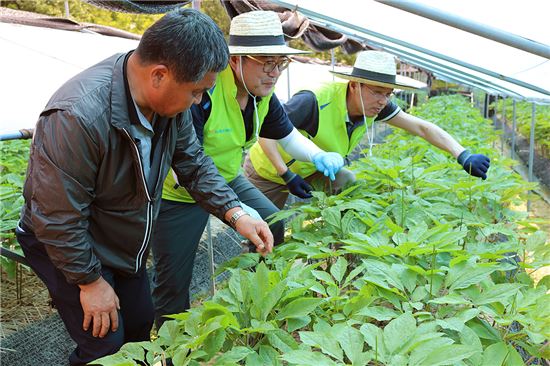 농협손보, 농촌 봉사활동 실시