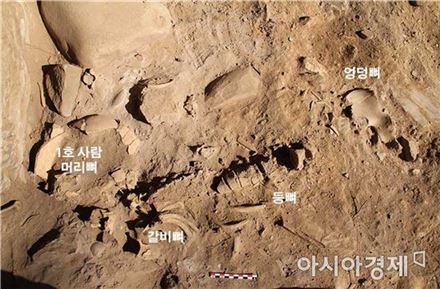 정선 매둔동굴서 청동기시대 동굴무덤 확인
