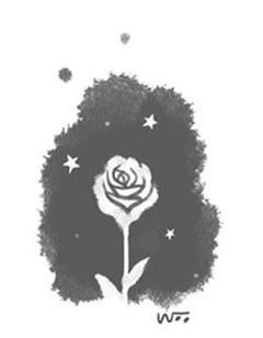 [오후 한 詩] 밤새 희고 단정한/ 안미린