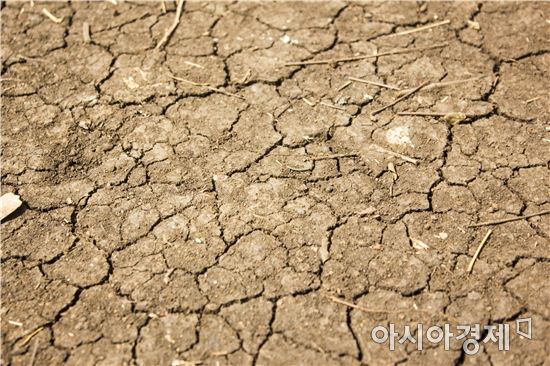 가뭄에 쩍쩍 갈라진 농지(사진=아시아경제 DB)