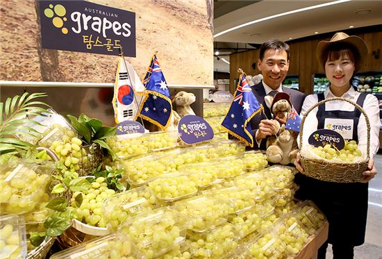 [포토]"호주에서 온 '탐스골드 포도' 맛보세요"