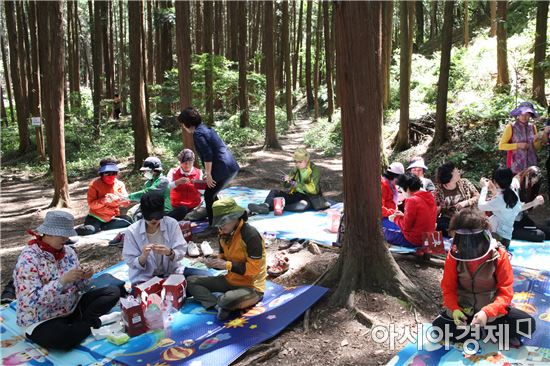 [포토]광주시 동구,‘암경험자 편백나무 숲 체험’프로그램 운영