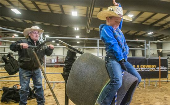 '소 위에 올라타세요' 캐나다 초등학생의 목숨 건 체육 수업