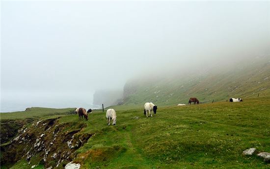 '말달리자' 사람보다 말이 더 많은 섬 이야기