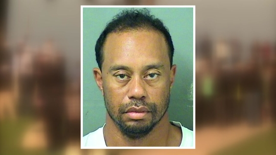 ‘골프황제’ 타이거 우즈, 음주운전 혐의 체포…머그샷 공개