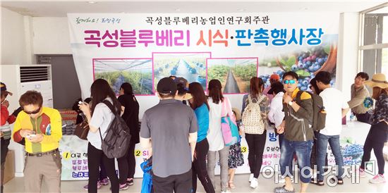 곡성군, 장미축제기간 블루베리 시식·판촉행사 성료