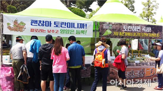 곡성장미축제기간 토란 홍보 이벤트 관광객 큰 호응