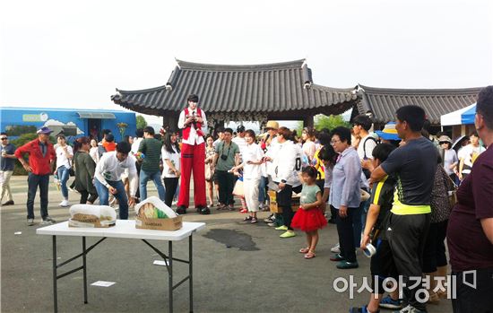 곡성장미축제기간 토란 홍보 이벤트 관광객 큰 호응