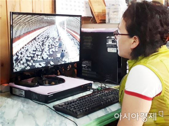 장흥군, 빅데이터 기반 오리사육 ICT시스템 시범운영