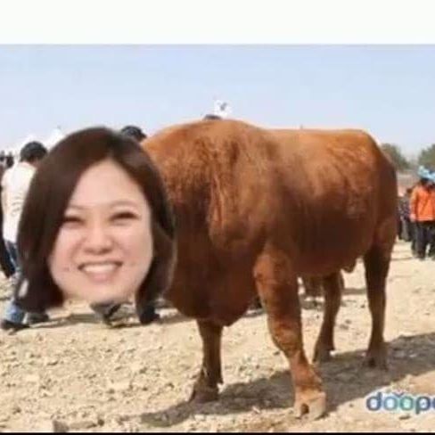 숙소/ 사진=김숙 인스타그램