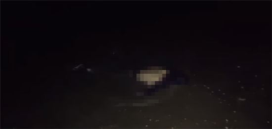 사진=변사체 발견 당시 BJ 방송화면 캡처