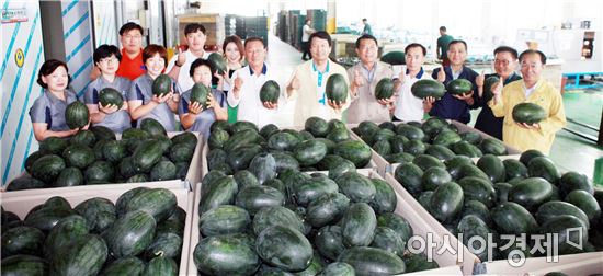 부안 블랙망고수박 2760톤 생산 농가소득 54억원 기대