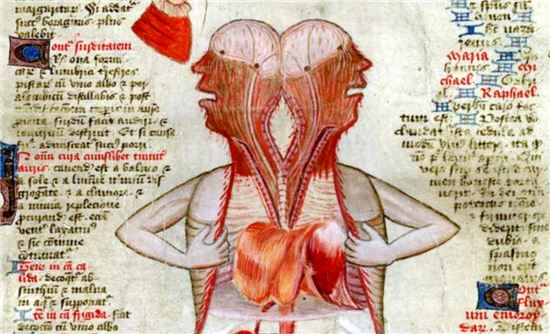 14세기 영국 외과의사 존 아던은 1307년 기록을 통해 남성 유방암의 존재를 처음 언급했다. 의학의 발달로 인간의 장기 및 종양에 대한 기술은 성장했으나 남성 유방암은 그 병증에 대한 인식부족으로 초기 발견이 어려워 사망율이 갈수록 증가하고 있다. 사진은 존 아던의 인간 신체 해부 기록