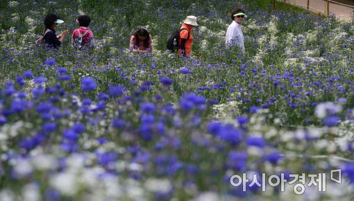 [포토]들꽃마루 나들이