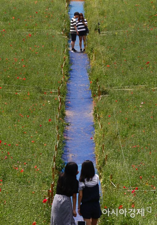 [포토]같은 장소 다른 추억
