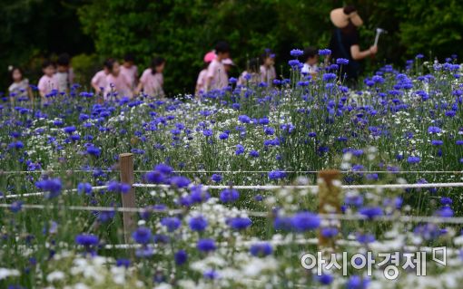 [포토]들꽃마루 나들이