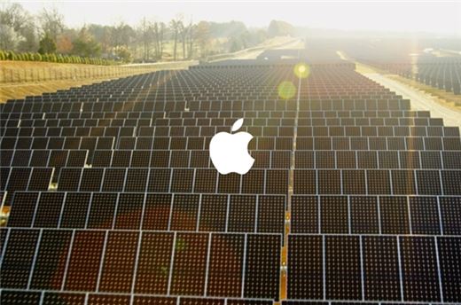 [美파리협정 탈퇴]팀 쿡 "직접 전화까지 걸었는데…"