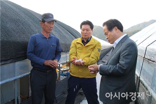 김병원 농협회장 "우박 피해 농가 신속 지원"