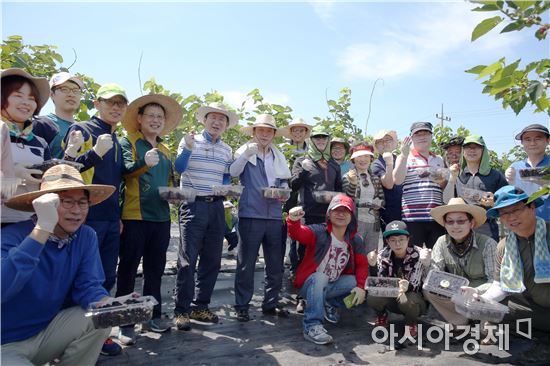 전라남도의회, 농촌 일손 돕기‘구슬땀’