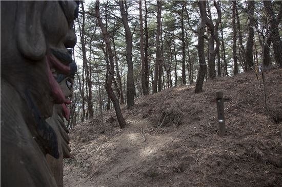 [조문환의 지리산별곡③]존티재 대나무 숲에서 뛰놀다!
